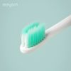 Sonic Electric Toothbrush